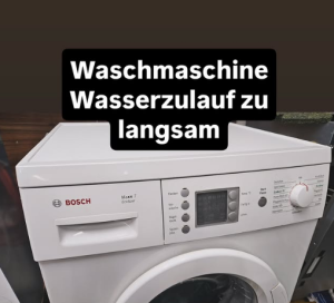Service